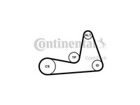 Set curea transmisie cu caneluri Renault CLIO III (BR0/1, CR0/1) 2005-2016 #2 6PK1130K1