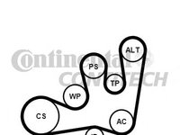 Set curea transmisie cu caneluri RENAULT LAGUNA I I (B56_, 556_), RENAULT LAGUNA I Estate (K56_), RENAULT MEGANE I (BA0/1_) - CONTITECH 6PK1642K1