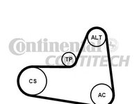 Set curea transmisie cu caneluri SEAT LEON (1P1) - Cod intern: W20262717 - LIVRARE DIN STOC in 24 ore!!!