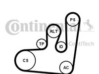 Set curea transmisie cu caneluri SEAT TOLEDO   (1L) (1991 - 1999) CONTITECH 6PK1145K1