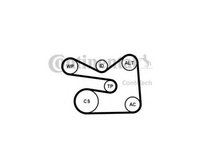 Set curea transmisie cu caneluri Skoda SKODA OCTAVIA Combi (1Z5) 2004-2013 #2 6PK1733K3