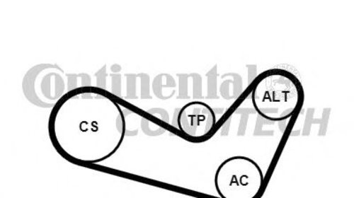 Set curea transmisie cu caneluri VOLKSWAGEN P