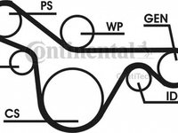 Set Curea transmisie FORD FOCUS combi DNW CONTITECH 6PK1413D1