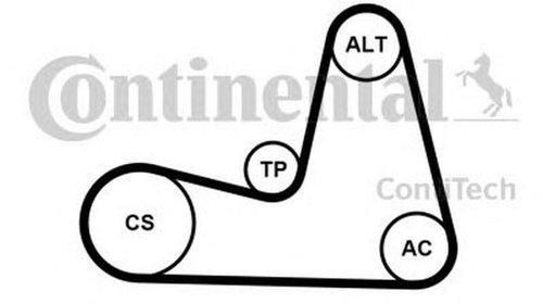 Set Curea transmisie RENAULT CLIO III BR0 1 C