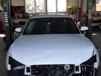 Set fete usi Audi A5 2011 limuzina 2000 tdi