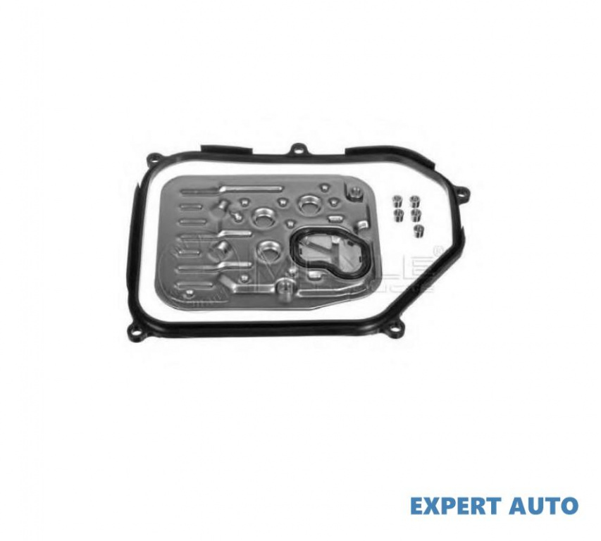 Set filtre hidraulice, cutie e vit.automata Volkswagen VW TRANSPORTER / CARAVELLE Mk IV bus (70XB, 70XC, 7DB, 7DW) 1990-2003 #2 0725004