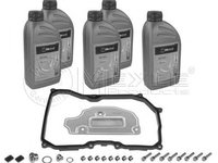 Set filtru cutie automata VW GOLF V 1K1 MEYLE 1001350101