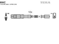 Set fise bujii tesla pt mercedes