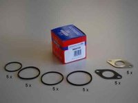 Set garnitura sistem EGR AUDI 80 8C B4 Producator WAHLER 665574D