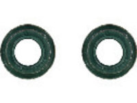 Set garnituri, ax supape (122583702 REI) ALFA ROMEO,AUDI,LANCIA,VOLVO,VW