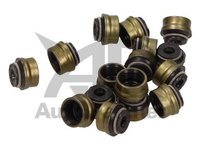 Set garnituri ax supape OPEL ASTRA G cupe (F07_) - OEM - REINZ: 12-34223-02 - W02308967 - LIVRARE DIN STOC in 24 ore!!!