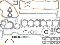 Set garnituri complet, motor (014161001 VICTOR REINZ)