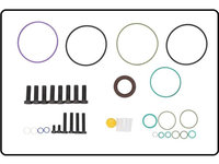 Set garnituri pompa injectie sistem common-rail Ford Focus ll , Kuga , Mondeo , Transit , Tourneo