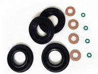 Set inele si garnituri INJECTOARE LAND ROVER 2.4 - NOU 1372494