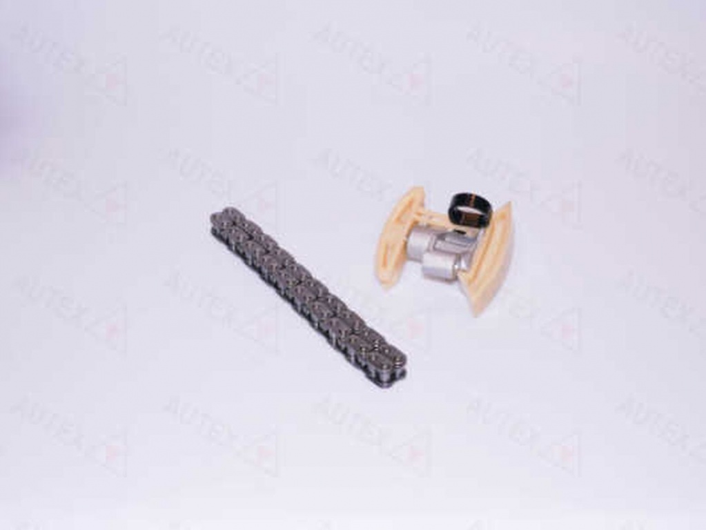 Set kit lant distributie FORD C-MAX DM2 AUTEX 711177