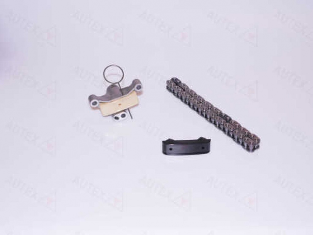 Set kit lant distributie FORD C-MAX DM2 AUTEX 711139