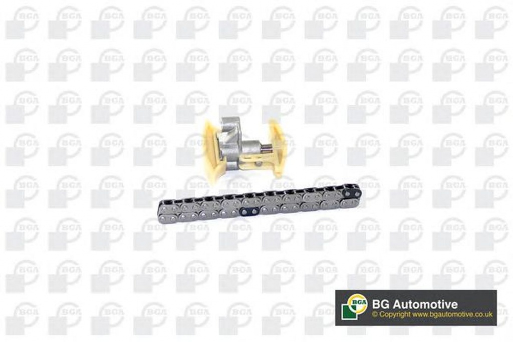 Set kit lant distributie FORD C-MAX DM2 BGA TC2330K
