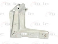 Set montaj, aripa laterala VW GOLF 4 (1J1) (1997 - 2005) BLIC 7802-03-9523381P