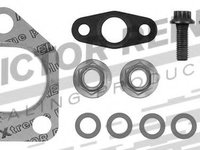 Set montaj turbina BMW X5 (E53) (2000 - 2006) VICTOR REINZ 04-10029-01