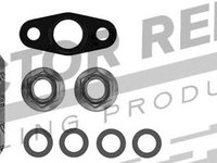 Set montaj, turbocompresor BMW 3 Compact (E36), BMW 3 limuzina (E36), OPEL OMEGA B combi (21_, 22_, 23_) - REINZ 04-10029-01