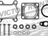 Set montaj turbocompresor FIAT DUCATO bus (244, Z_) - OEM - REINZ: 04-10047-01 - W02321303 - LIVRARE DIN STOC in 24 ore!!!