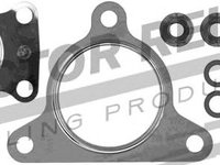 Set montaj turbocompresor PEUGEOT 807 (E) - OEM - REINZ: 04-10074-01 - W02321824 - LIVRARE DIN STOC in 24 ore!!!