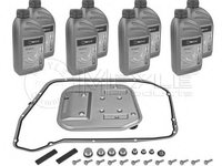 Set piese, schimb ulei transmisie automata AUDI A5 (8T3), AUDI A4 limuzina (8K2, B8), AUDI Q5 (8R) - MEYLE 100 135 0013