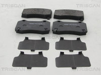 Set placute frana,frana disc puntea spate (811010606 TRI) CHRYSLER,JEEP,TESLA