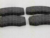 Set placute frana,frana disc RENAULT MEGANE II (BM0/1_, CM0/1_), RENAULT EURO CLIO III (BR0/1, CR0/1), RENAULT MEGANE III cupe (DZ0/1_) - TRISCAN 8110