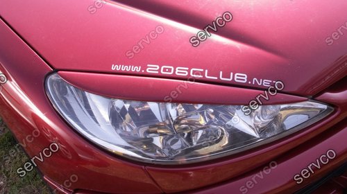 Set pleoape faruri Peugeot 206 ver1