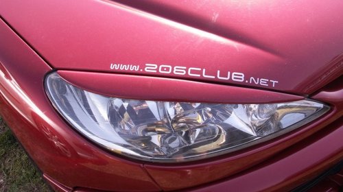 Set pleoape faruri Peugeot 206 ver1