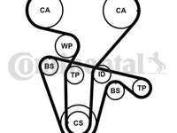 Set pompa apa curea dintata CT877WP3PRO CONTINENTAL CTAM pentru Alfa romeo 145