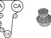 Set pompa apa + curea dintata OPEL ZAFIRA A (F75_) (1999 - 2005) AIRTEX WPK-144602