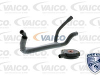 Set reparatie aerisire baie ulei V20-1920 VAICO pentru Bmw Seria 3 Bmw Seria 5 Bmw Z3