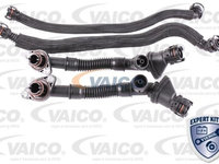 Set reparatie aerisire baie ulei V20-3292 VAICO pentru Bmw Seria 7 Bmw X6 Bmw Seria 6 Bmw X5 Bmw Seria 5