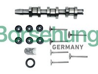 Set reparatie B17130 Borsehung pentru Vw Touran Vw Golf Vw Passat Skoda Octavia Vw Eurovan Vw Transporter Vw Caddy Audi A4 Vw Beetle Vw New Vw Novo Vw Bora Vw Jetta Seat Cordoba Vw Polo Vw Derby Vw Flight Audi A2 Audi A3 Audi A6 Vw Rabbit Seat Leon S