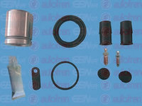 Set reparatie etrier BMW X5 (E53) (2000 - 2006) AUTOFREN SEINSA D42279C