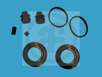 Set reparatie etrier D4818 AUTOFREN SEINSA pentru Kia Besta Kia Pregio Kia Carnival Kia Sedona Kia Grand