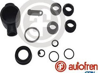 Set reparatie etrier PEUGEOT 206 CC 2D AUTOFREN SEINSA D4107