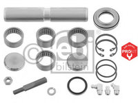 Set reparatie pivot 09690 FEBI BILSTEIN pentru Mercedes-benz T2l Mercedes-benz T2ln1 Mercedes-benz Vario Mercedes-benz Lkln2 Mercedes-benz O