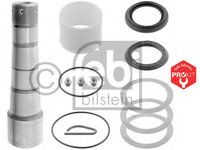 Set reparatie pivot 28584 FEBI BILSTEIN pentru Vw Polo Vw Golf Volvo 740 Volvo Fh Volvo Fm Volvo Fl Volvo 9700 Volvo B Volvo 8500