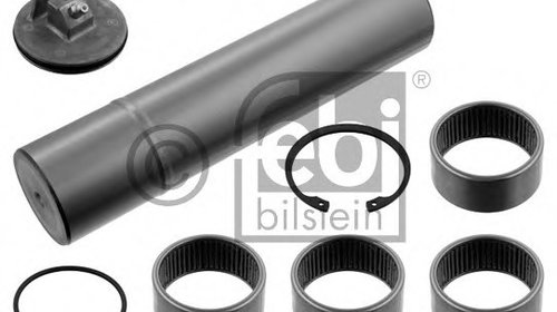 Set reparatie pivot 35462 FEBI BILSTEIN pentr