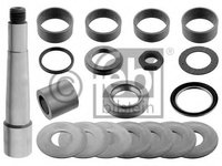 Set reparatie pivot 39120 FEBI BILSTEIN pentru Bmw Seria 5 Volvo V50 Daf 95 Daf 85 Daf 75 Daf 65 Daf Lf