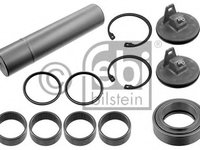 Set reparatie pivot 40805 FEBI BILSTEIN pentru Skoda Octavia Bmw Seria 6 Volvo S80 Mercedes-benz Actros Mercedes-benz O Mercedes-benz Axor Mercedes-benz Travego Mercedes-benz Citaro Mercedes-benz Econic Mercedes-benz Touro Mercedes-benz Oh Mercedes-b