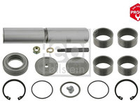 Set reparatie, pivot FEBI BILSTEIN 10309