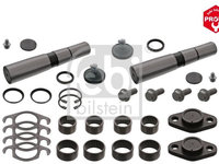 Set reparatie, pivot FEBI BILSTEIN 18418