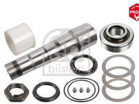 Set reparatie, pivot FEBI BILSTEIN 47153