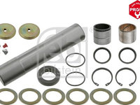 Set reparatie pivot MAN L 2000 FEBI BILSTEIN 15216