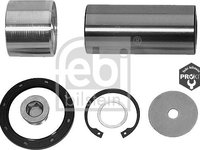 Set reparatie pivot MERCEDES-BENZ ACTROS FEBI BILSTEIN 06891