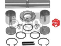 Set reparatie pivot MERCEDES-BENZ SPRINTER 2-t platou / sasiu 901 902 FEBI BILSTEIN 10205